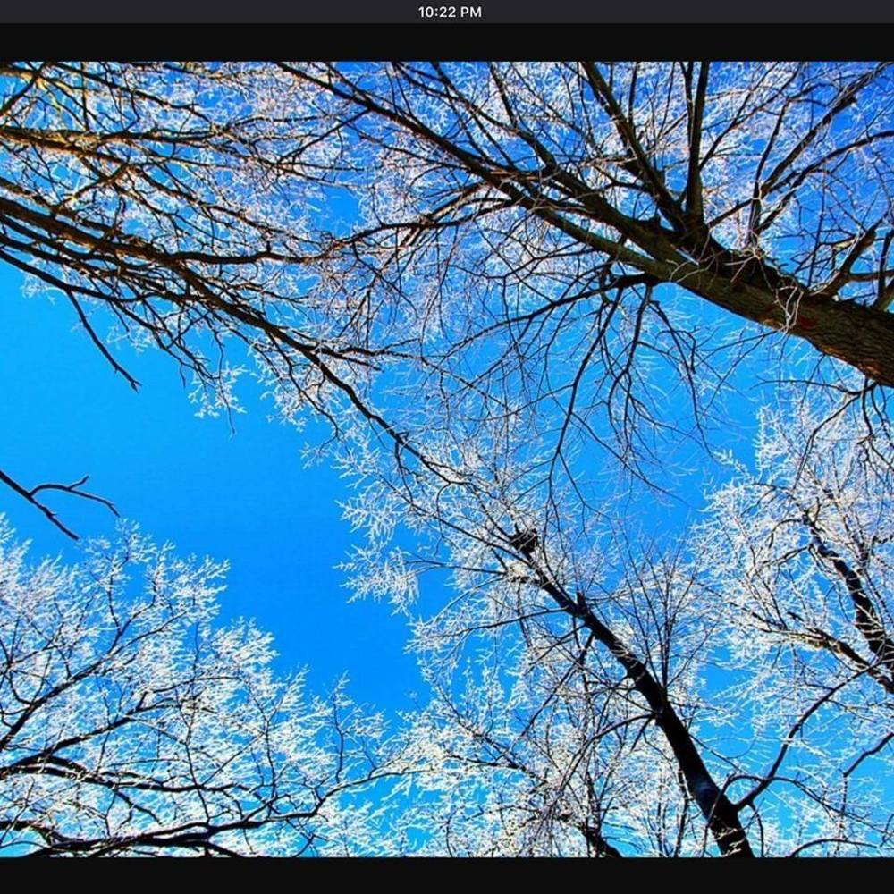 Meet your Posher, Misbah